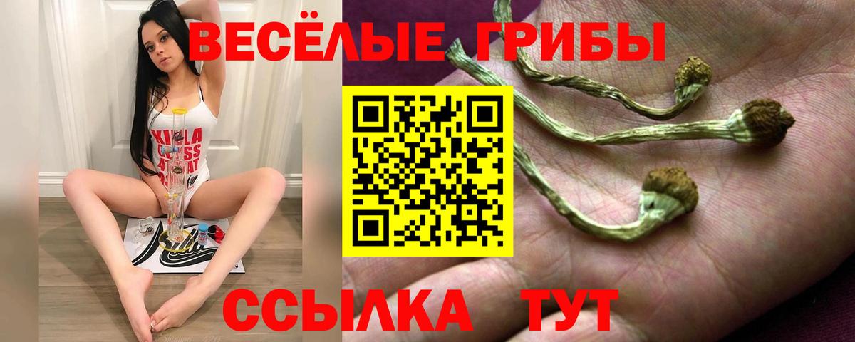 Дзержинский  Галлюциногенные грибы Cubensis  Вход с VPN 